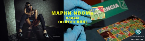 гидропоника Алзамай