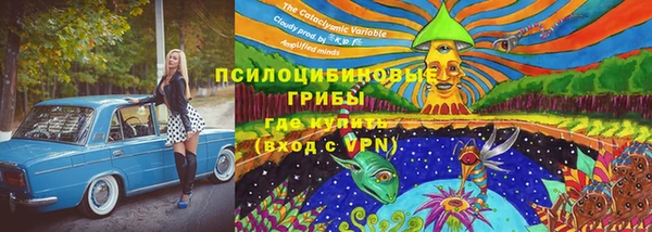 гидропоника Алексин