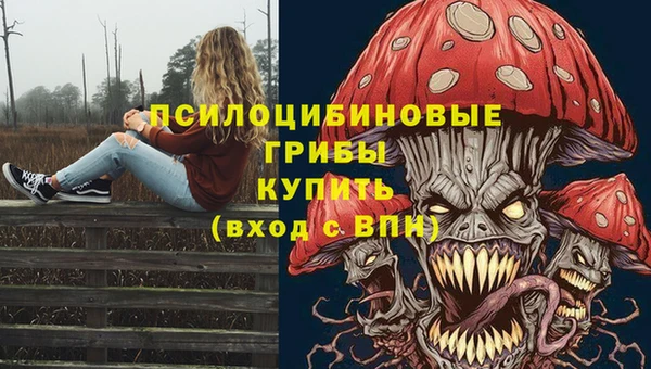 гидропоника Алзамай