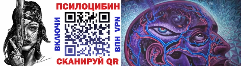 блэк спрут зеркало  купить наркотик  Кореновск  Псилоцибиновые грибы Psilocybine cubensis 