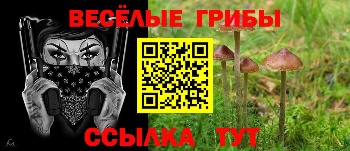 Кореновск  Псилоцибиновые грибы прущие грибы  Псилоцибиновые грибы прущие грибы  Вход с VPN 