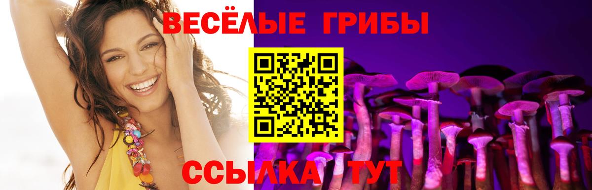 Псилоцибиновые грибы ЛСД Кореновск